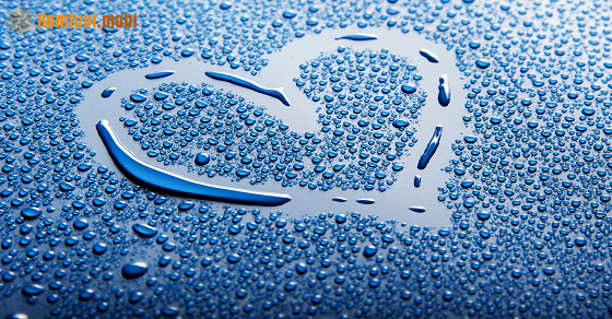 Xem bói 12 con giáp ngày 11.9.2022 chủ nhật Xem bói 12 con giáp ngày 11.9.2022 chủ nhật