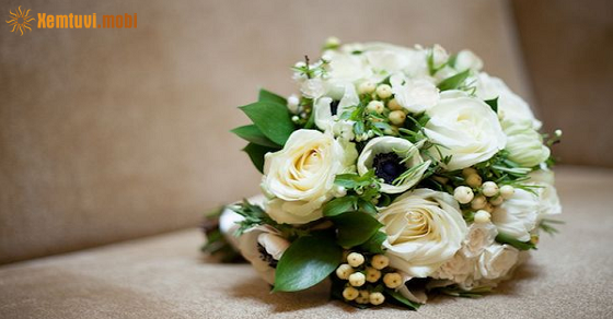 Tử vi chủ nhật của bạn ngày 11-9-2022