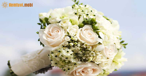 Tử vi chủ nhật của bạn ngày 25-9-2022 Tử vi chủ nhật của bạn ngày 25-9-2022