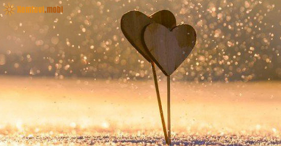 Tử vi thứ 5 của bạn ngày 13-10-2022 Tử vi thứ 5 của bạn ngày 13-10-2022