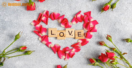 Xem bói 12 con giáp ngày 1.12.2022 thứ 5