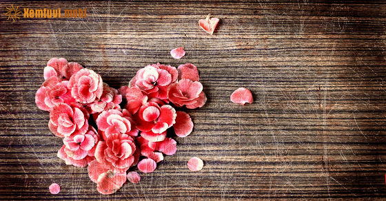 Xem bói 12 con giáp ngày 15.11.2022 thứ 3 Xem bói 12 con giáp ngày 15.11.2022 thứ 3