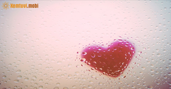 Xem bói 12 con giáp ngày 22.11.2022 thứ 3 Xem bói 12 con giáp ngày 22.11.2022 thứ 3