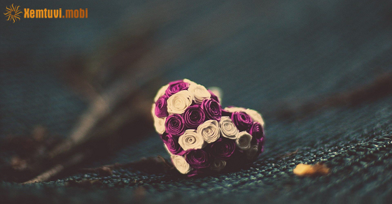 Xem bói 12 con giáp ngày 28.11.2022 thứ 2 Xem bói 12 con giáp ngày 28.11.2022 thứ 2