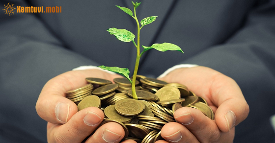 Thứ hai của 12 con giáp ngày 28/11/2022 Thứ hai của 12 con giáp ngày 28/11/2022