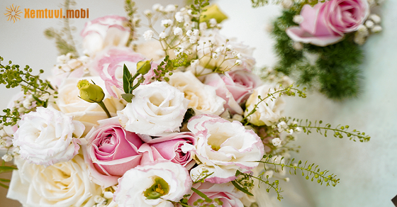 Tử vi thứ 6 của bạn ngày 25-11-2022