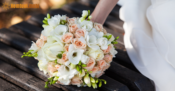 Tử vi thứ 7 của bạn ngày 26-11-2022