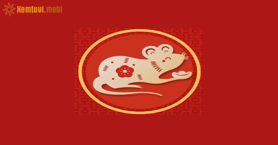  Tử vi tuổi Tý 2023 qua từng năm tuổi