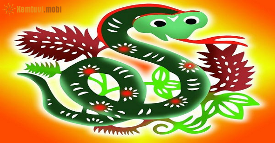 Vận trình tuổi Tỵ sẽ như nào qua từng năm tuổi