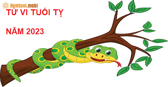 Xem bói tử vi tuổi Tỵ năm 2023