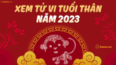 Xem bói tử vi tuổi Thân năm 2023: Công việc có sự phát triển nhẹ trong năm Tam Tai