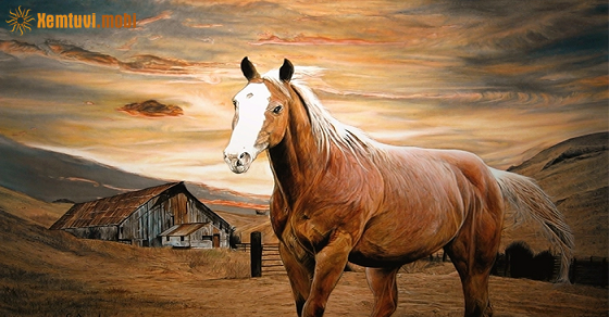  Vận trình tuổi Ngọ sẽ như nào qua từng năm tuổi