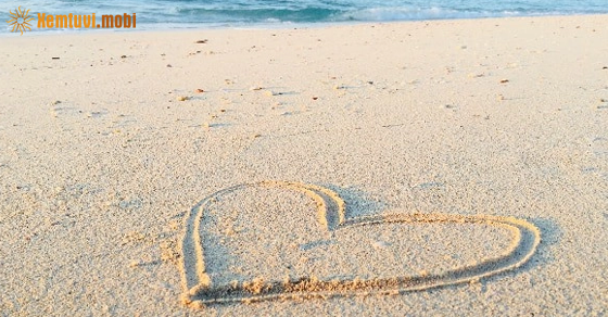  Xem bói 12 con giáp ngày 31.12.2022 thứ bảy