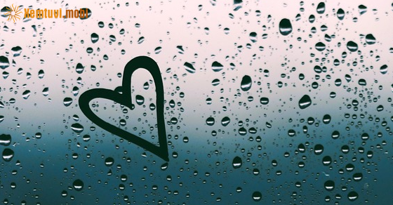 Xem bói 12 con giáp ngày 4.1.2023 thứ 4 Xem bói 12 con giáp ngày 4.1.2023 thứ 4