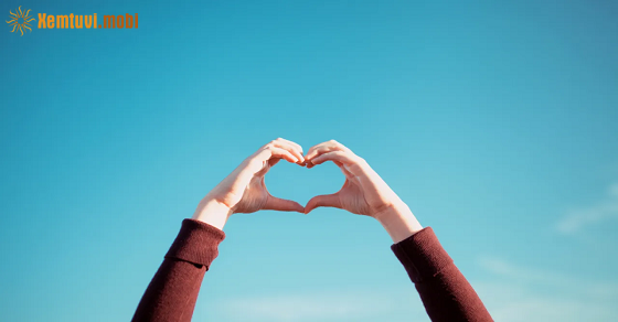 Xem bói 12 con giáp ngày 7.12.2022 thứ 4 Xem bói 12 con giáp ngày 7.12.2022 thứ 4