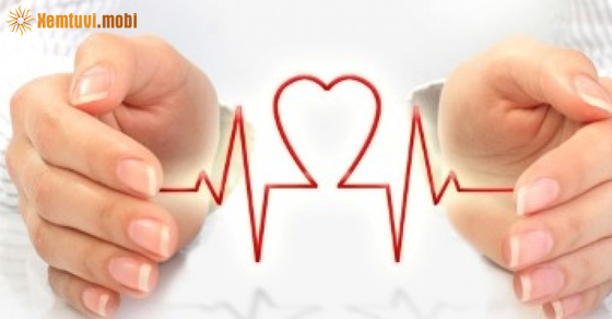 Tuần mới từ ngày 26/12 đến 1/1/2023 của 12 con giáp Tuần mới từ ngày 26/12 đến 1/1/2023 của 12 con giáp