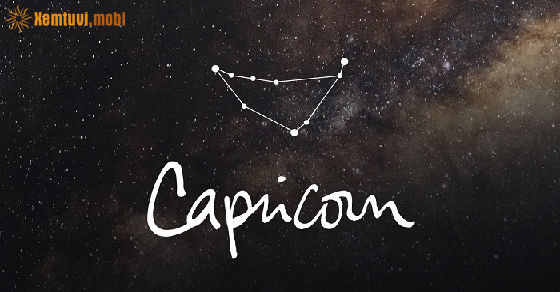 Tử vi năm 2023 của Ma Kết