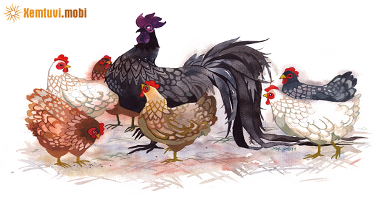  Bói tử vi tuổi Dậu năm 2023 chính xác