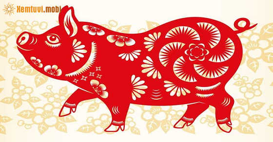  Xem tử vi 2023 tuổi Hợi theo từng năm sinh