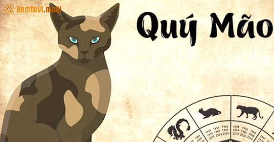 Xem tử vi năm 2023 tuổi Mão theo từng năm sinh Xem tử vi năm 2023 tuổi Mão theo từng năm sinh