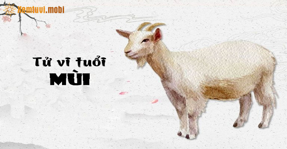  Bói tử vi tuổi Mùi năm 2023 chính xác