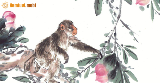  Xem tử vi 2023 tuổi Thân theo từng năm sinh