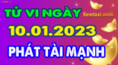 Tử vi 12 con giáp ngày 10/1/2023: Dần gặp quý nhân, Mùi sa sút