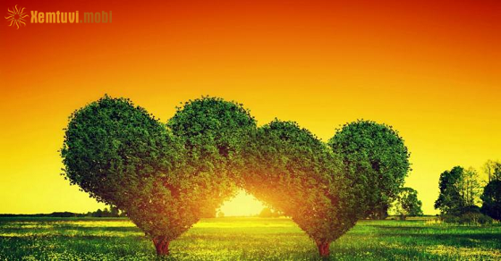 Xem bói 12 con giáp ngày 2.2.2023 thứ 5 Xem bói 12 con giáp ngày 2.2.2023 thứ 5