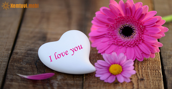 Xem bói 12 con giáp ngày 22.1.2023 chủ nhật Xem bói 12 con giáp ngày 22.1.2023 chủ nhật