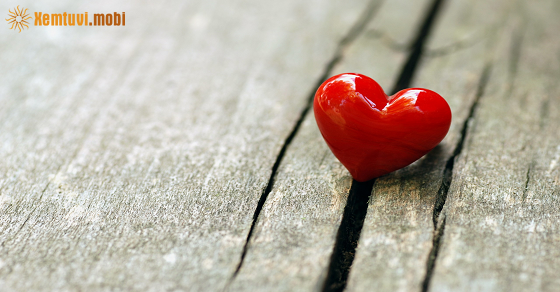 Xem bói 12 con giáp ngày 28.1.2023 thứ bảy Xem bói 12 con giáp ngày 28.1.2023 thứ bảy