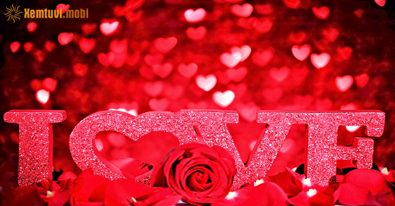 Xem bói 12 con giáp ngày 19.2023 chủ nhật Xem bói 12 con giáp ngày 19.2023 chủ nhật