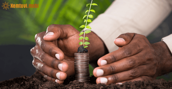  Thứ hai của 12 con giáp ngày 20/3/2023