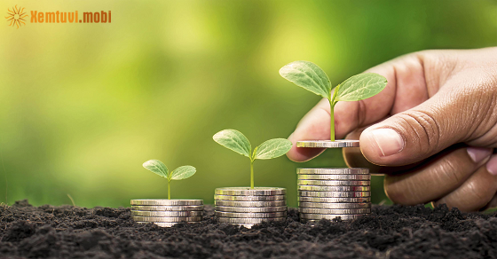  Thứ ba của 12 con giáp ngày 2/5/2023