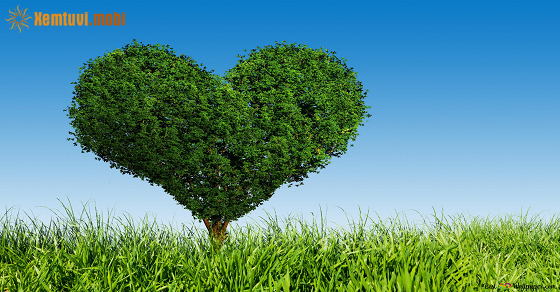 Xem bói 12 con giáp ngày 26.4.2023 thứ 4 Xem bói 12 con giáp ngày 26.4.2023 thứ 4