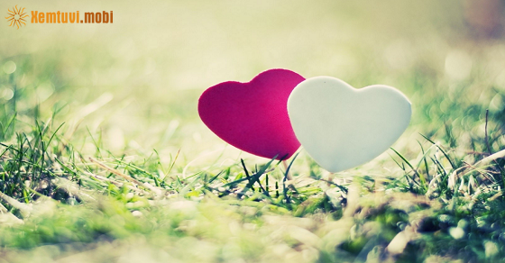 Xem bói ngày 30-4-2023 chủ nhật Xem bói ngày 30-4-2023 chủ nhật