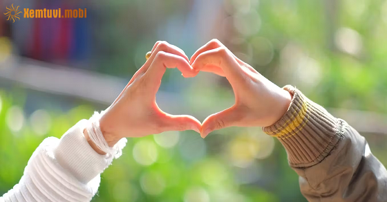 Xem bói 12 con giáp ngày 14.6.2023 thứ 4 Xem bói 12 con giáp ngày 14.6.2023 thứ 4