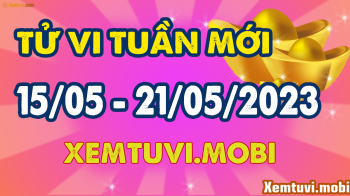 Tử vi tuần mới từ 15/5 - 21/5/2023 của 12 con giáp: Tý gặp khó, Dần không nên vội vã