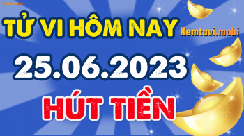 Tử vi ngày 25/6/2023 của 12 con giáp chủ nhật: Thìn nhiều tiền, Hợi gặp may