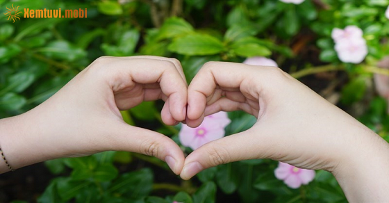 Xem bói 12 con giáp ngày 7.7.2023 thứ 6 Xem bói 12 con giáp ngày 7.7.2023 thứ 6