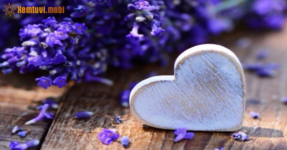 Xem bói 12 con giáp ngày 1.8.2023 thứ 3 Xem bói 12 con giáp ngày 1.8.2023 thứ 3