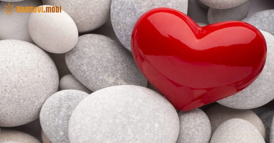 Xem bói của 12 con giáp từ ngày 24/7 đến 30/7/2023 Xem bói của 12 con giáp từ ngày 24/7 đến 30/7/2023