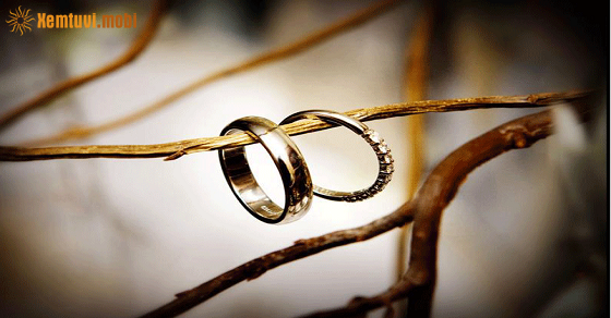  Xem bói của 12 con giáp từ ngày 21/8 đến 27/8/2023