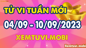 Tử vi tuần mới từ 4/9 - 10/9/2023 của 12 con giáp: Thìn kiêu ngạo, Thân có động lực