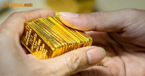 Tháng 10/2023 của 12 con giáp Tháng 10/2023 của 12 con giáp