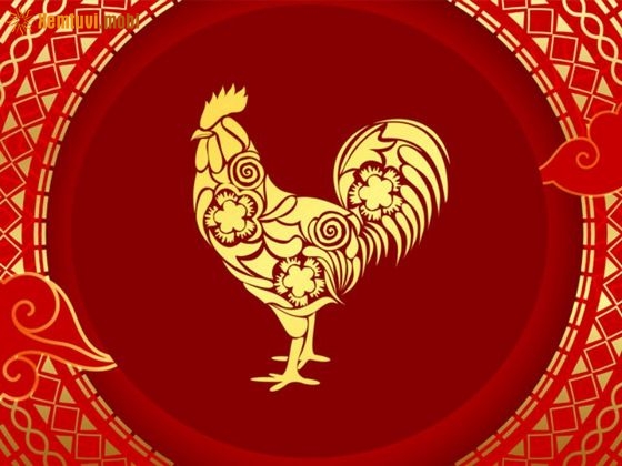 Luận giải tử vi các tuổi Dậu trong năm 2024 đầy đủ