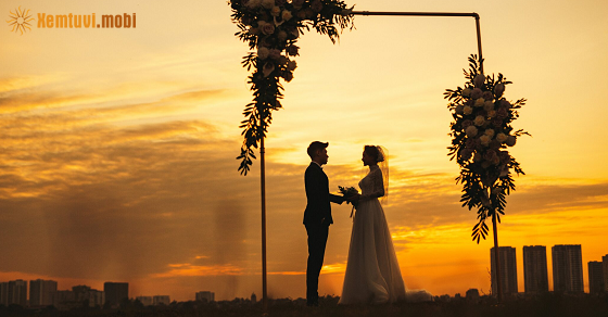 Xem bói ngày 16-11-2023 thứ 5