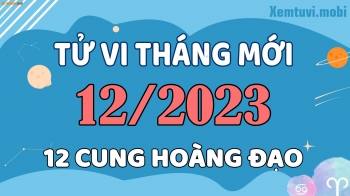 Tử vi tháng 12/2023 của 12 cung hoàng đạo: Kim Ngưu bình tĩnh, Ma Kết thành công
