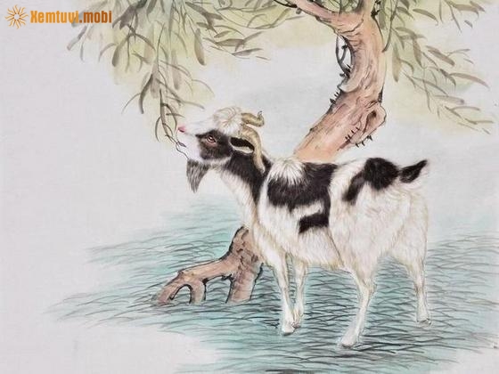 Luận giải tử vi người tuổi Mùi trong năm 2024 Luận giải tử vi người tuổi Mùi trong năm 2024