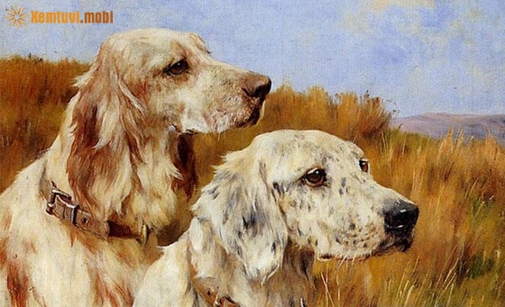 Tử vi cho người tuổi Tuất năm 2024 về tình duyên, công danh, tài lộc và sức khỏe