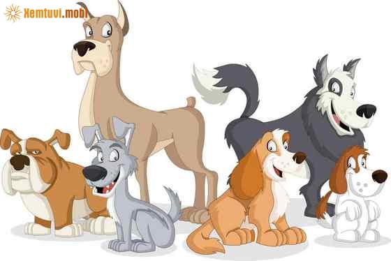 Luận giải tử vi 2024 cho người tuổi Tuất đầy đủ